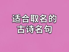 适合取名的古诗名句：如兰/星宇/景云