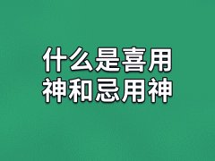 什么是喜用神和忌用神，喜用神和忌用神有什么区别