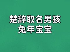 楚辞取名男孩兔年宝宝：玮铭/仁凌/祺奥/琪图