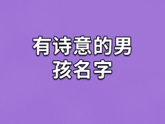有诗意的男孩名字：谦仁/韬栋/知翱/诚鑫