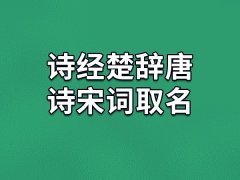诗经楚辞唐诗宋词取名：坤枝/懿勤/南婕/瑞欢