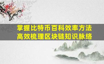掌握比特币百科效率方法高效梳理区块链知识脉络