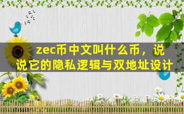 zec币中文叫什么币，说说它的隐私逻辑与双地址设计