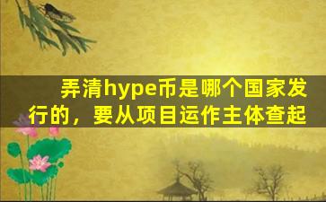 弄清hype币是哪个国家发行的，要从项目运作主体查起