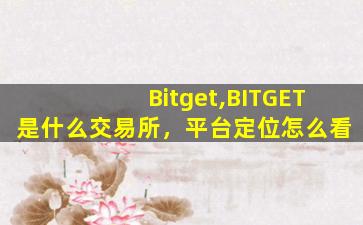 Bitget,BITGET是什么交易所，平台定位怎么看