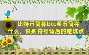 比特币简称btc派币简称什么，识别符号背后的避坑点