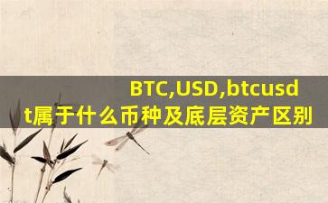 BTC,USD,btcusdt属于什么币种及底层资产区别