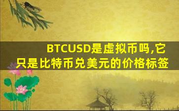 BTCUSD是虚拟币吗,它只是比特币兑美元的价格标签