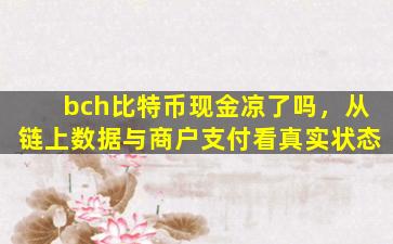 bch比特币现金凉了吗，从链上数据与商户支付看真实状态
