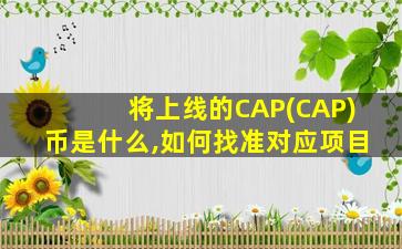 将上线的CAP(CAP)币是什么,如何找准对应项目