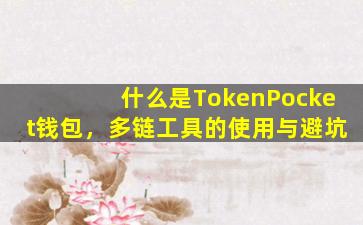 什么是TokenPocket钱包，多链工具的使用与避坑