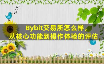 Bybit交易所怎么样，从核心功能到操作体验的评估